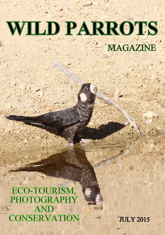 Wild Parrots Magazine cover
