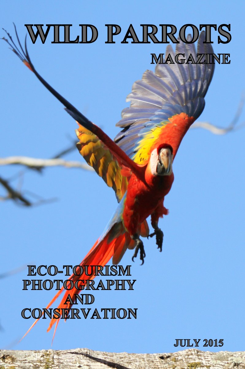Wild Parrots Magazine cover 2